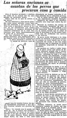Las señoras ancianas se asustan de los perros que procuran casa y comida