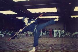 En un torneo internacional de artes marciales